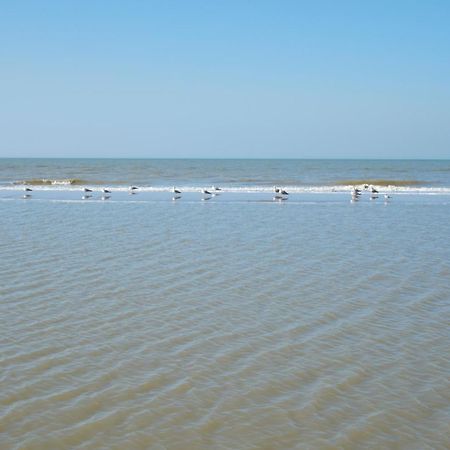 Familie Zwinkels Daire Zandvoort Dış mekan fotoğraf