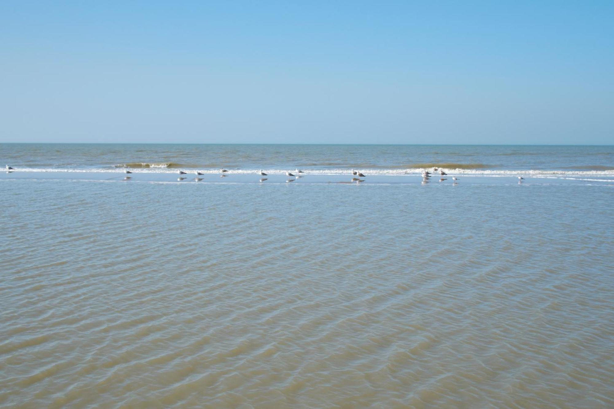 Familie Zwinkels Daire Zandvoort Dış mekan fotoğraf