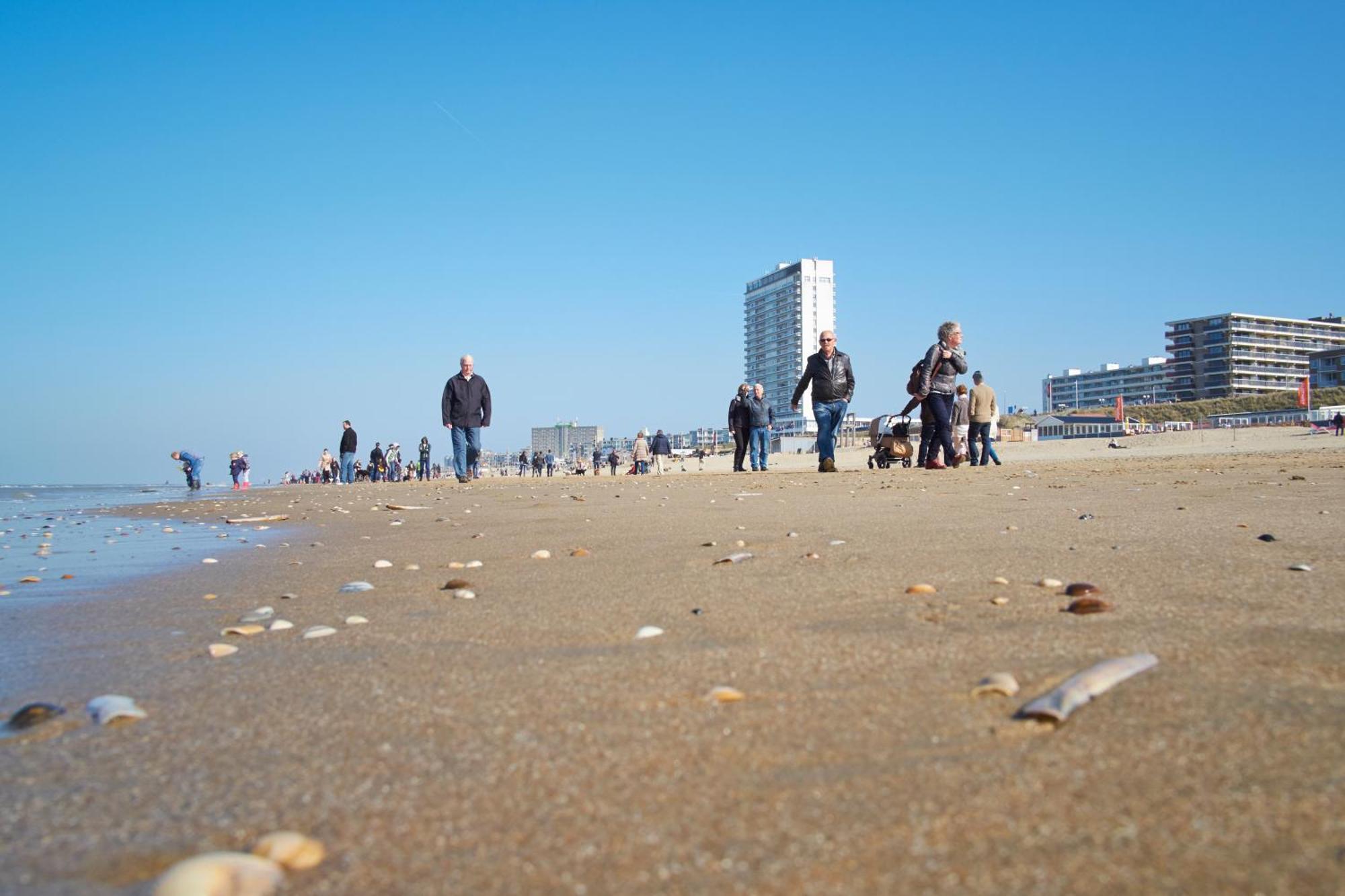 Familie Zwinkels Daire Zandvoort Dış mekan fotoğraf